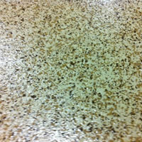 GRANITEX EPOXY 